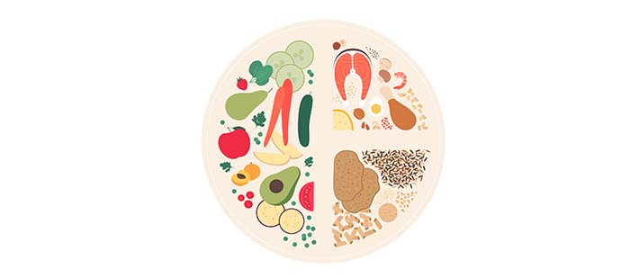 illustration d'une assiette avec la bonne répartitin de proteines, fibres et féculents