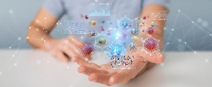 Conceptualistion du mécanisme d'une allergie