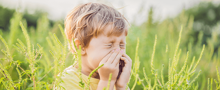 petit garçon dans un pré se mouchant à cause d'une allergie
