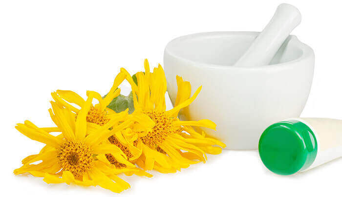 fleur d'arnica à côté d'un tube de crème à base d'arnica et un bol avec un mortier