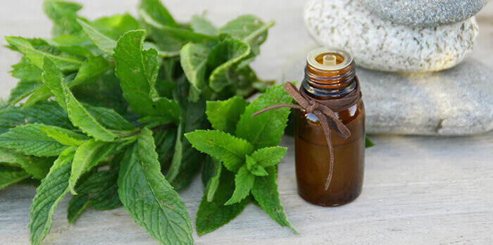 flacon d'huile essentielle de menthe entouré de feuilles de menthe