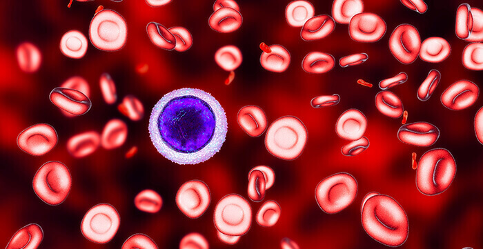 illustration du fer dans le sang