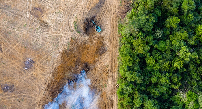 vue aérienne d'une zone en cours de déforestation