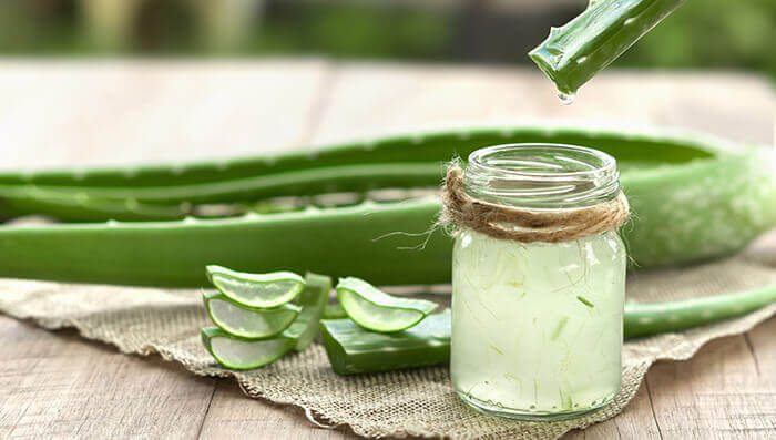 peau de gel d'aloe vera entouré de feuilles d'aloe vera