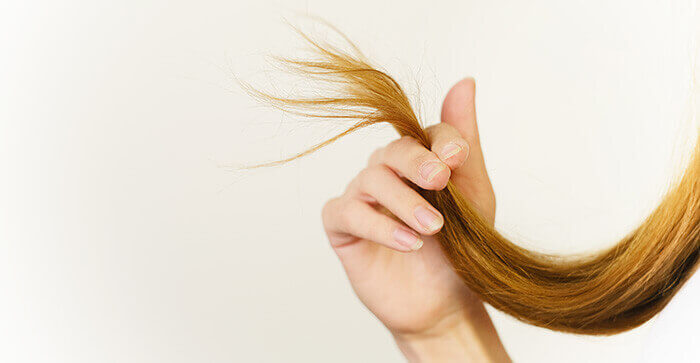 cheveux fourchus
