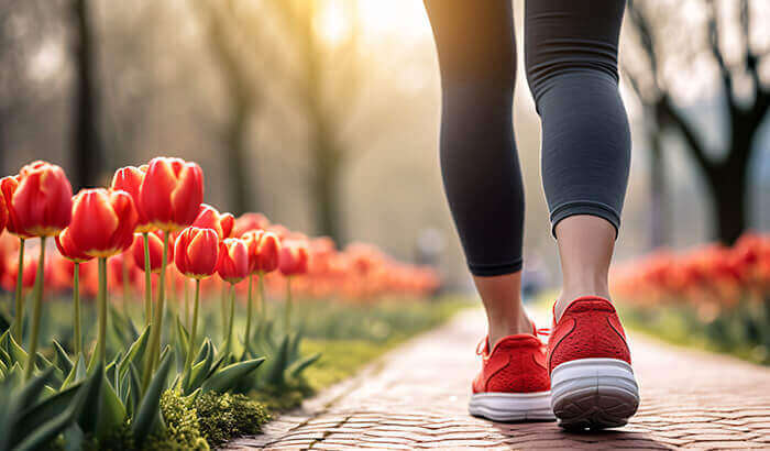plan sur l'arrière des jambes d'une femme se promenant dans une allée bordée de tulipes rouges