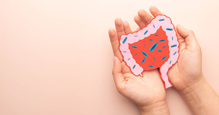 illustration du microbiote intestinal