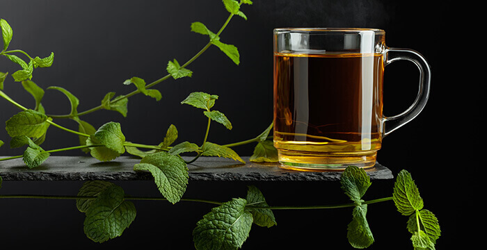 tasse de tisane de menthe avec des branches de menthe