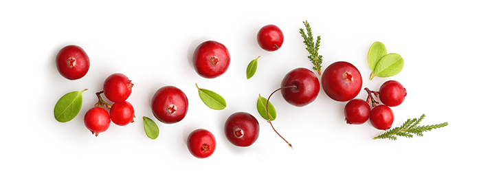 baie de cranberry
