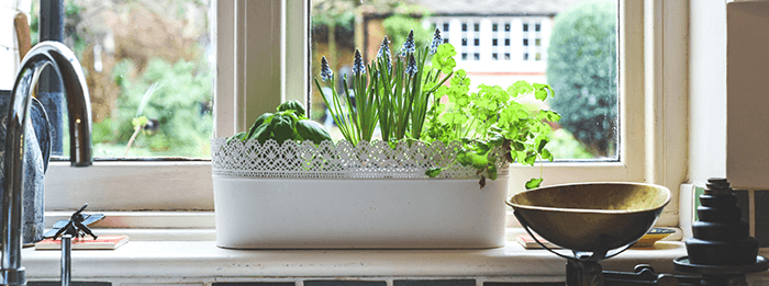 bac de plantes aromatiques posé sur le rebord de fenêtre d'une cuisine
