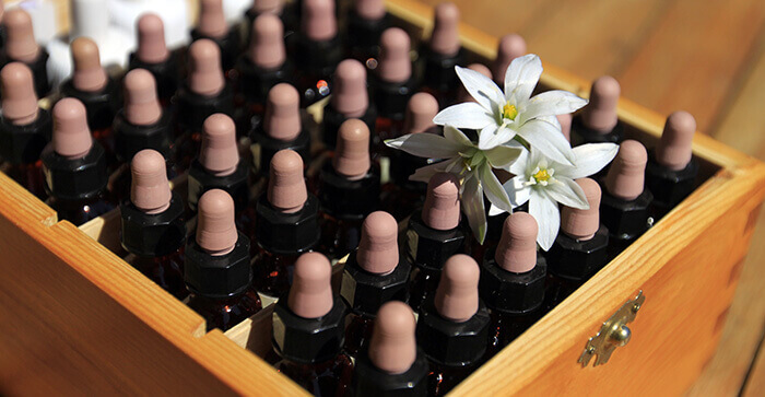 petits flacons de fleurs de bach dans un casier en bois