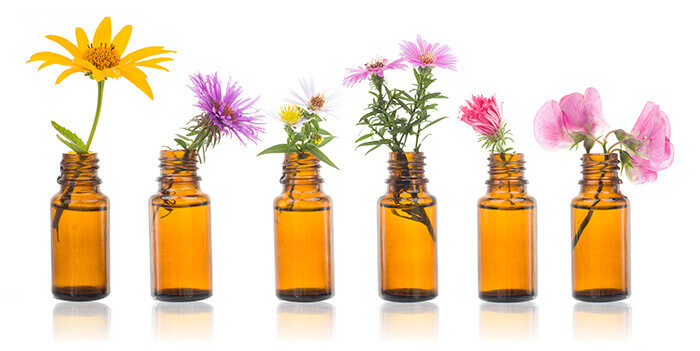 flacons de fleurs de bach avec leurs plantes