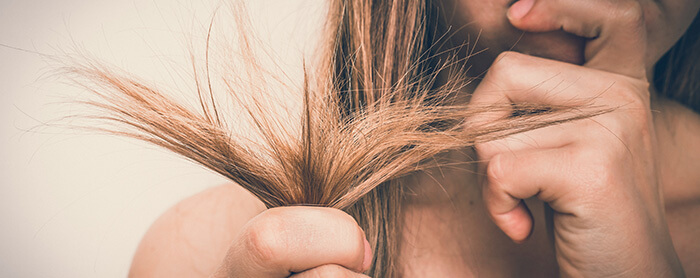pointes de cheveux secs fourchues