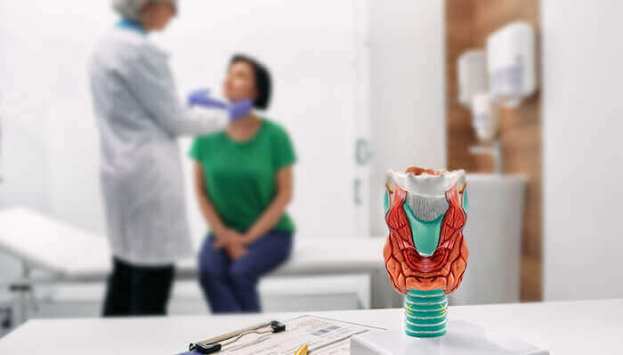 consultation médicale avec une maquette de thyroïde en premier plan sur le bureau du médecin