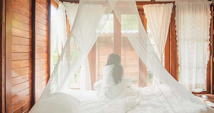 femme dans un lit protégée par une moustiquaire