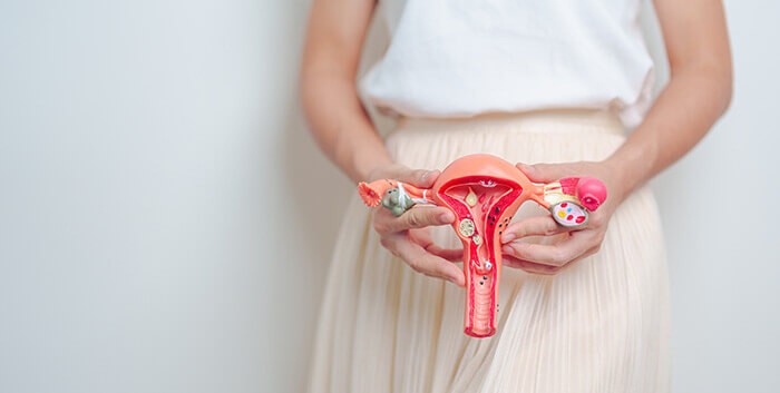 femme tenant une maquette d'uterus devant son ventre