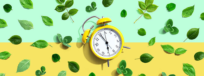 horloge sur un fond jaune et vert avec des plantes