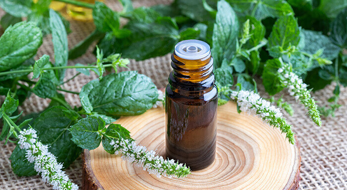 flacon d'huile essentielle de menthe poivrée entouré de feuilles de menthe