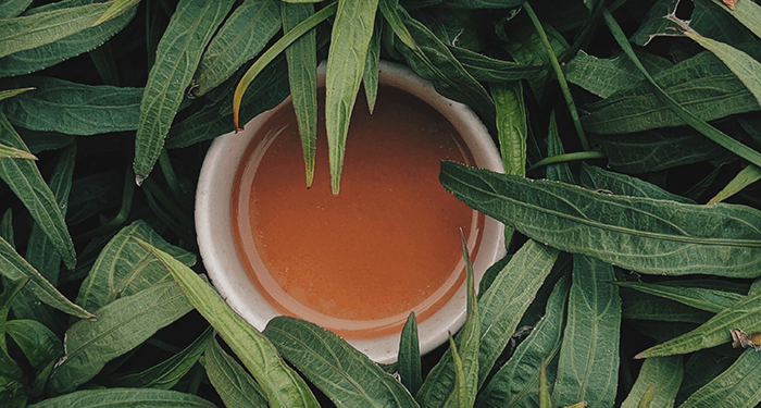 tasse de tisane entourée de feuilles