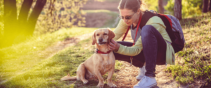 femme inspectant le pelage de son chien après une sortie