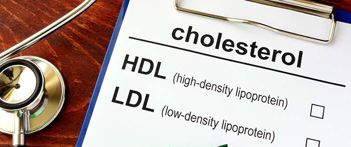 HDL et LDL : bon et mauvais cholestérol