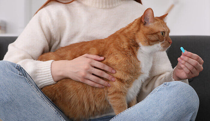 femme administrant un comprimé vermifuge à son chat