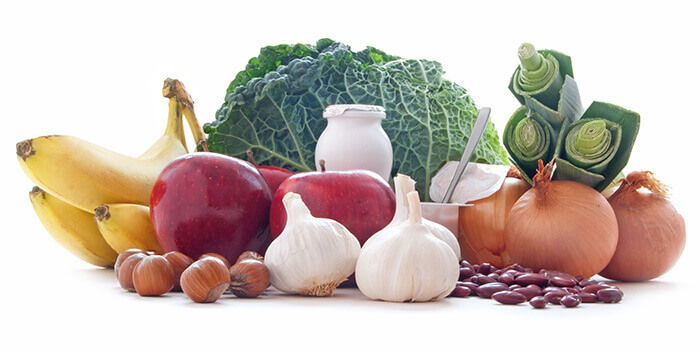 aliments prébiotiques