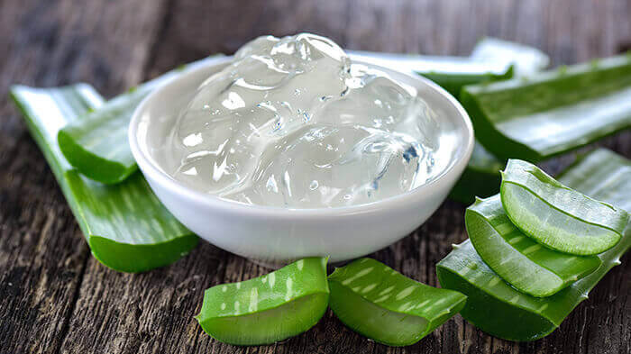 petite coupelle pleine de gel d'aloe vera entourée de morceaux d'aloe vera