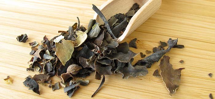 fucus
