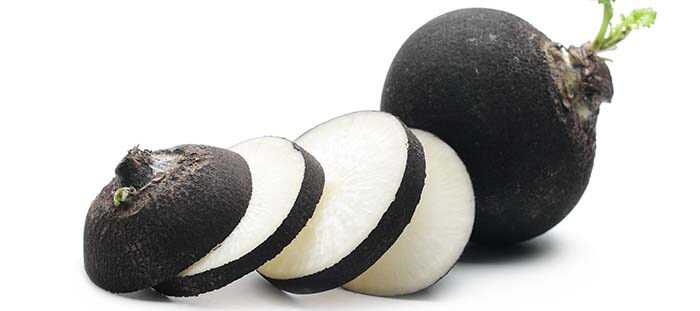 radis noir en tranches