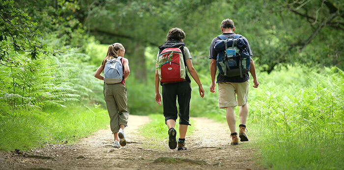 famille composée des parents et d'une fille randonnant sur un chemin en forêt