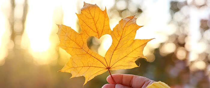 feuille d'érable avec un trou en forme de coeur