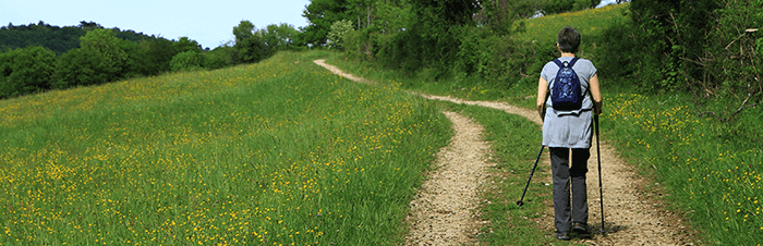 homme de dos randonnant sur un chemin au milieu d'une prairie