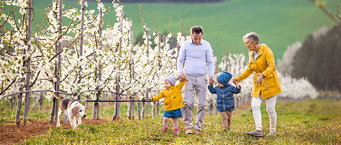 grands-parents se promenant avec leurs petits enfants dans la nature
