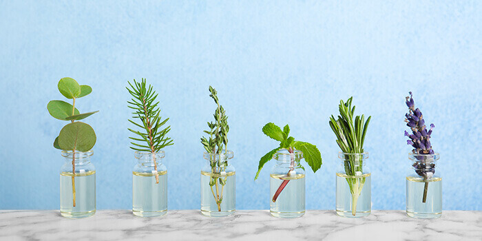 flacons d'huiles essentielles accompagnés de la plante qui les constitue