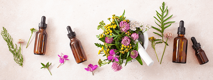 plantes de phytothérapie et flacon d'huiles essentielles sur fond blanc