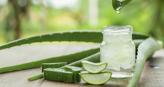 gel d'aloe vera