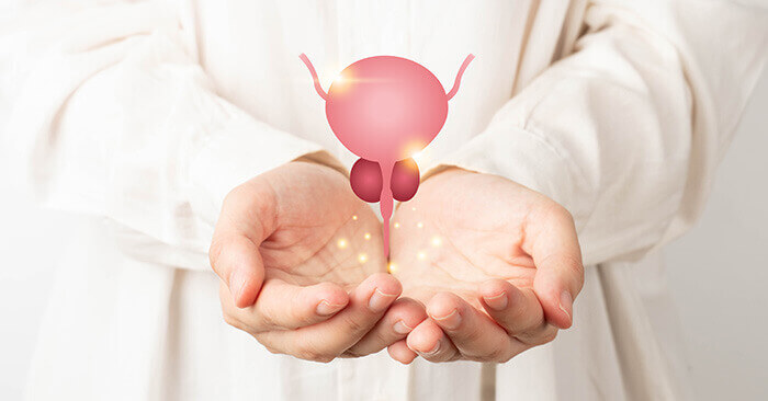 illustration du suivi médical de la prostate
