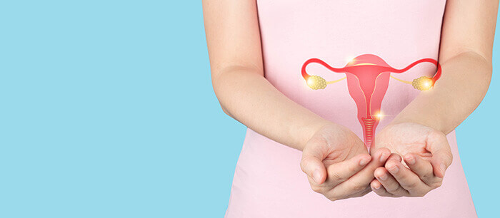 illustration d'un utérus tenu par une femme dans le cadre de la prévention du cancer du col de l'utérus