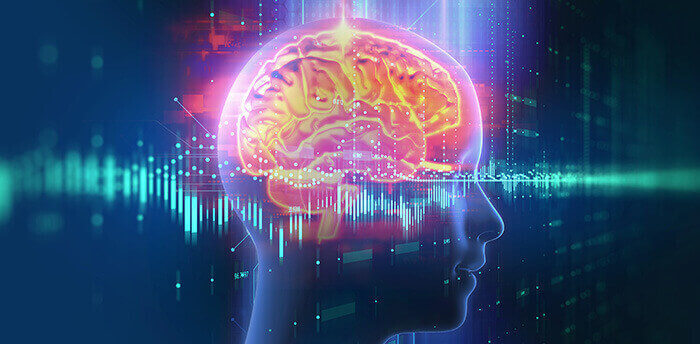 illustration d'un cerveau représentant la mémoire