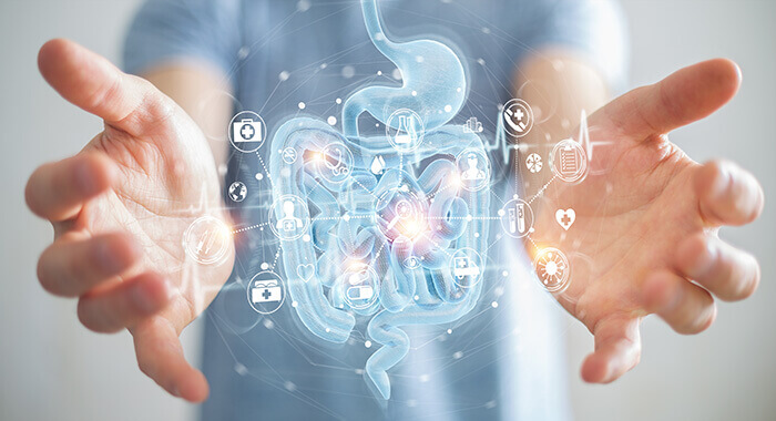 illustration de l'impact du microbiote sur la santé générale