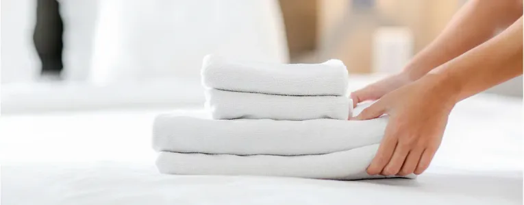 Acariens, puces, punaises : comment s’en débrasser durablement ?