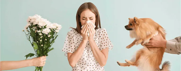 Allergie et rhinite chronique, le duo infernal