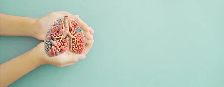 Asthme et rentrée scolaire : y a t-il une corrélation ?