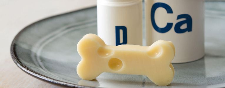 Pourquoi la vitamine D et le calcium sont-ils importants pour l'organisme ?