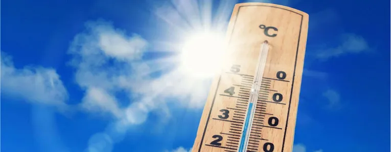 Canicule 2022, 6 astuces pour la surmonter !