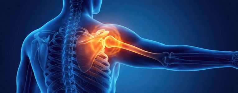 Comment préserver son capital osseux ?