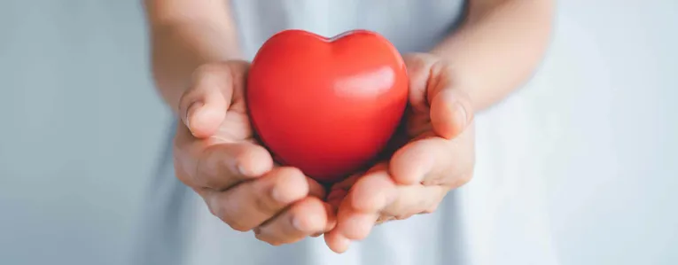 Mieux comprendre le cholestérol pour prendre soin de soi