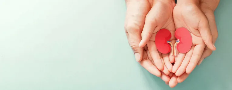 Tout savoir sur le don d’organes