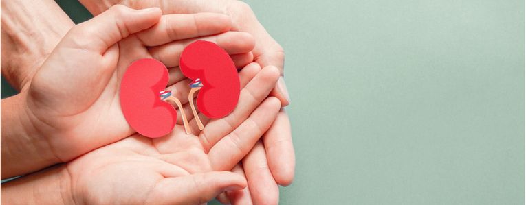 Comment favoriser l'élimination rénale ?